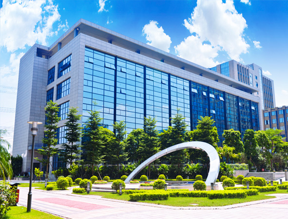 Company Profile